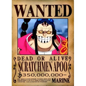 Placa Decorativa OnePiece Wanted Scrachmen